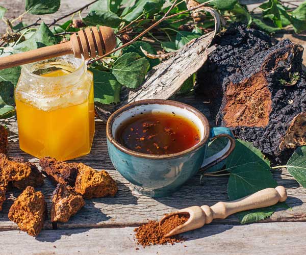 Chaga čaj